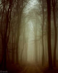 Expanded Gloom by tvurk