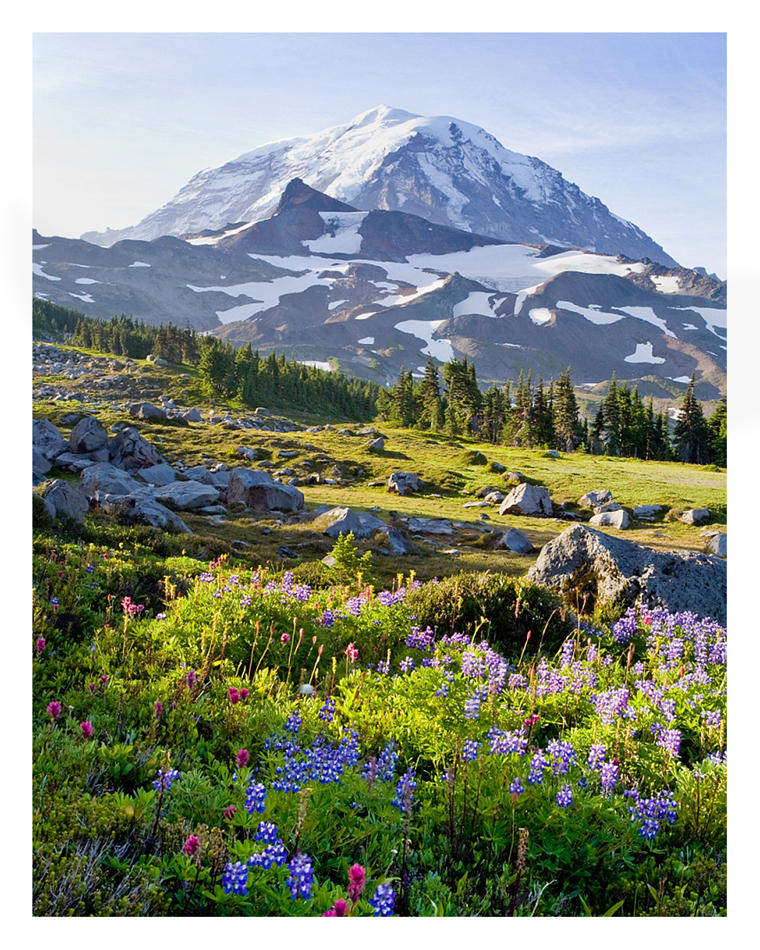 Simple Pleasures by hikester