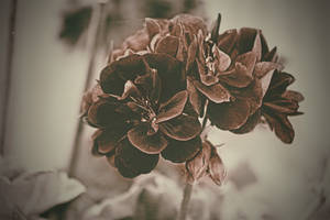 Just hold me by danielise