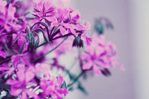 The broken clock is a comfort by danielise