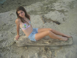 Driftwood Beach by Sarie23