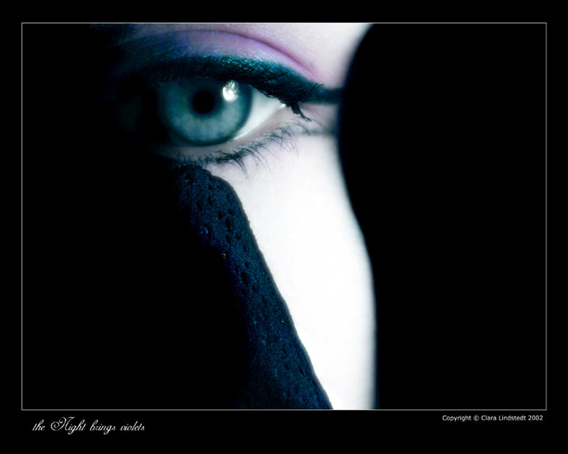 The night brings violets by lostgirl