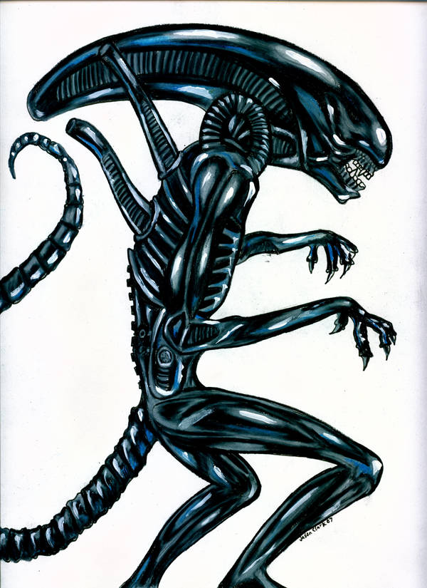 Alien Warrior by Sularias