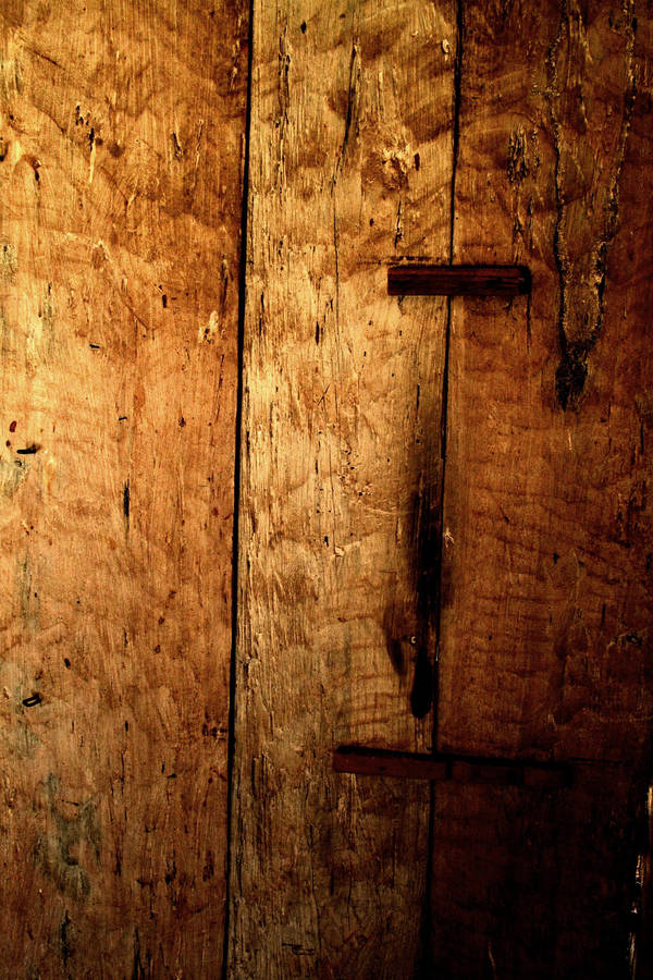 Local Texture: Sealed Pair by Beyond-Oddities