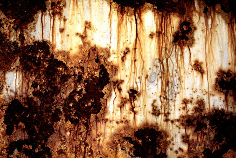 On Wings: Nether Flesh by Beyond-Oddities