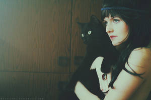 Black cats by Basistka