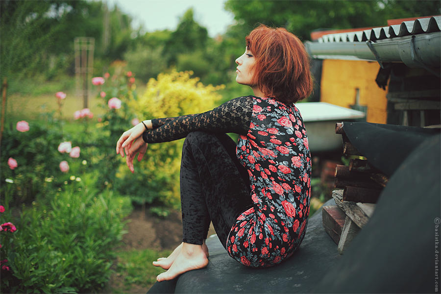 Little rose by Basistka