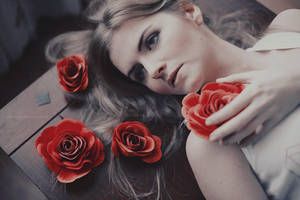 red roses by Basistka