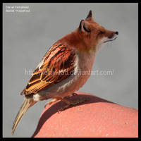 Pajorro by KelpyKrad