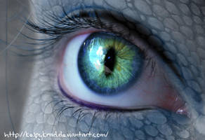 Reptil eye by KelpyKrad