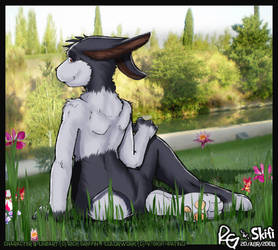 Conejo by skifi