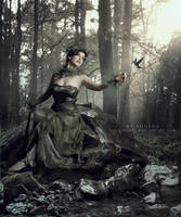 Songs from the wood by RoadioArts