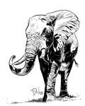 Elephant by DirkHooper