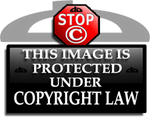 Copyright Tag for Deviants 5 by rclarkjnr