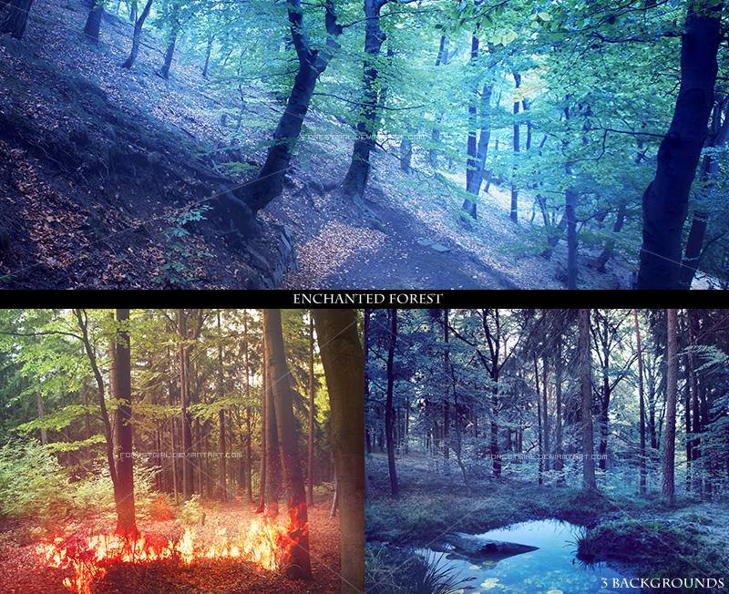 Premade backgrounds ENCHANTED FOREST