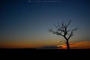 Every Night by Andrea-Reyes