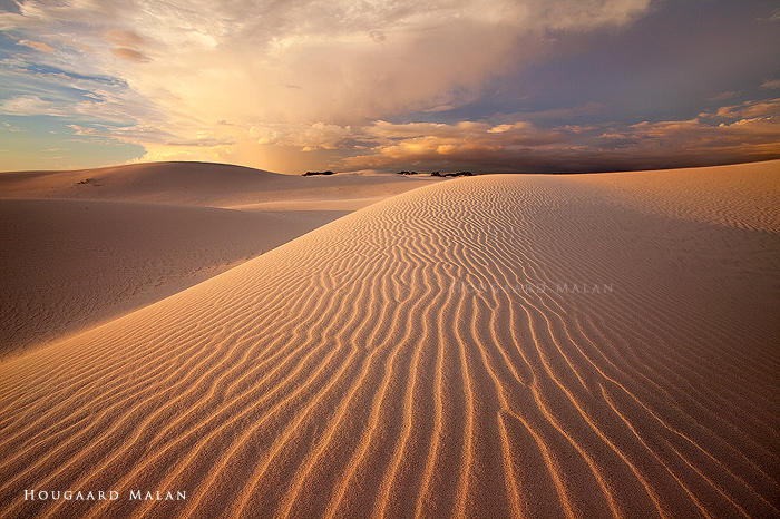 Desert Storm 3 by hougaard