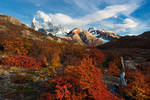 Peak Season by hougaard