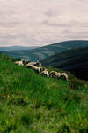 Scotland by mathein