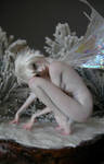 Winter Wonderland Tinkerbell 2 by wingdthing