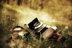 Lost In The Woods by nairafee