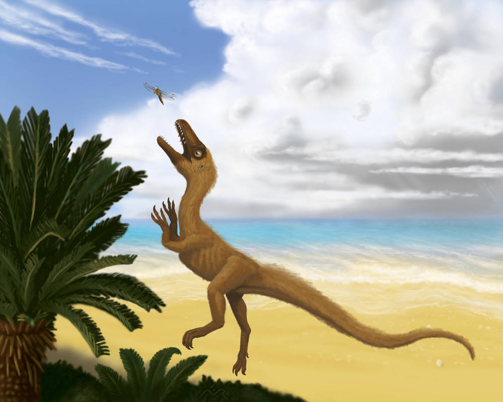 Sciurumimus albersdoerferi by MicrocosmicEcology