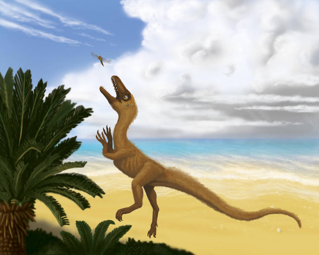 Sciurumimus albersdoerferi by MicrocosmicEcology