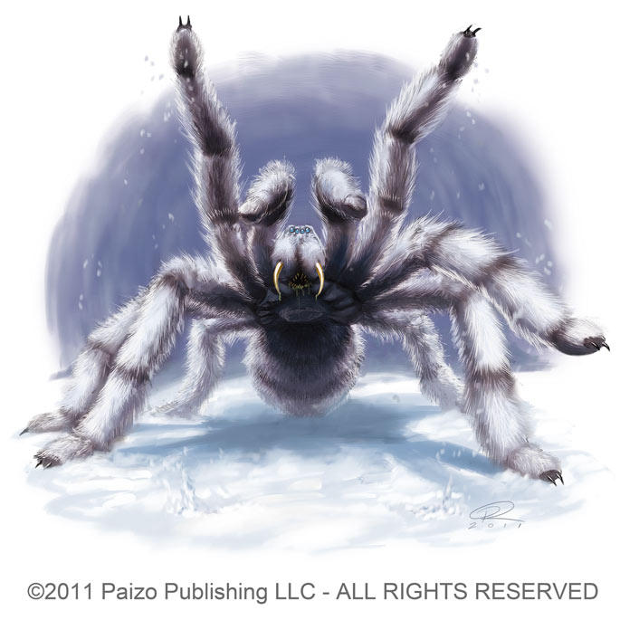 Snow Spider by Akeiron Snow Spider by Akeiron