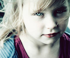 paper flowers by bailey--elizabeth