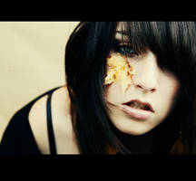 loose leaves by bailey--elizabeth