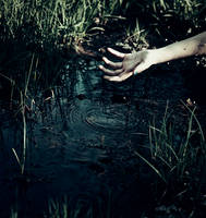 exiled from sight by bailey--elizabeth