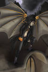 RS2ndPrize: Raven in the Night by wallabri