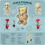 Anatomie Gummi Bar by freeny
