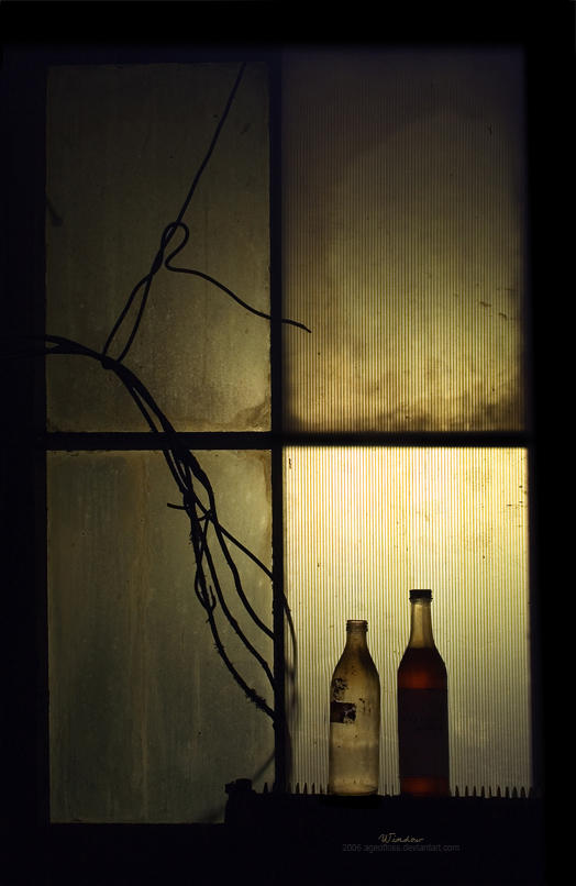 Window by ageofloss