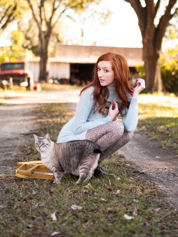 Alley Cat by Queen-Kitty