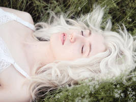 The Fairest by Queen-Kitty