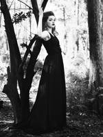 Dark Shadows by Queen-Kitty