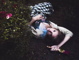 Painting the Roses Red by Queen-Kitty