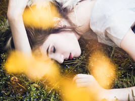 Cornflower Blue by Queen-Kitty