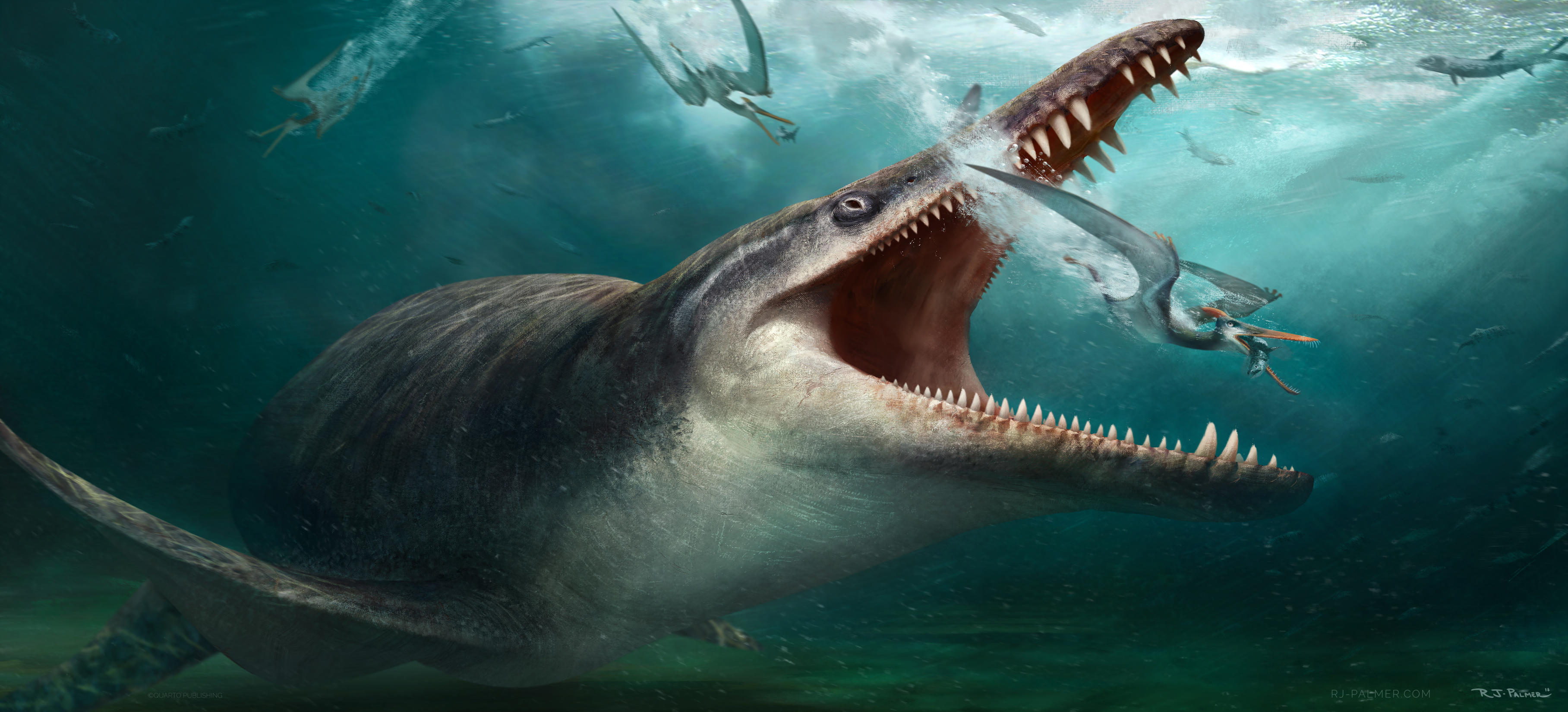 Kronosaurus by arvalis