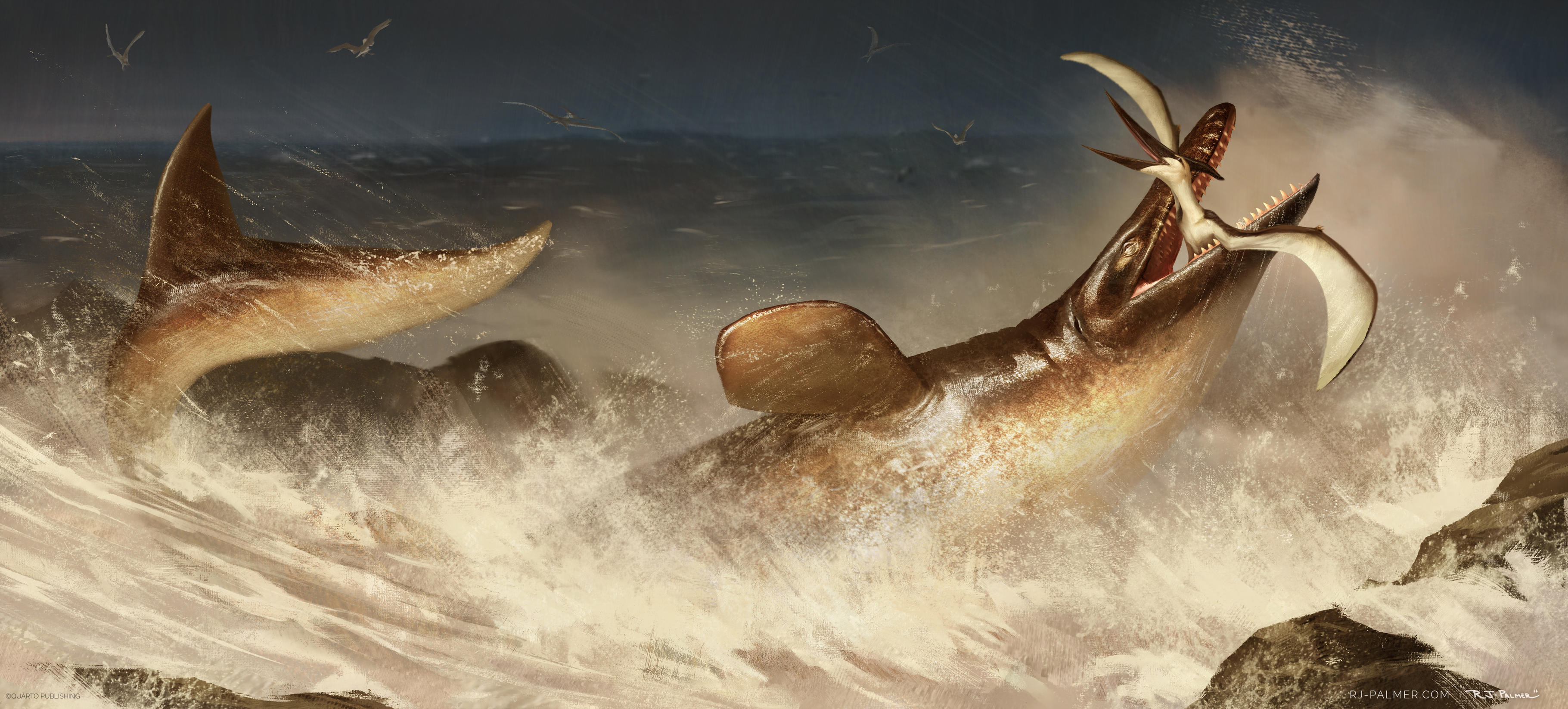Tylosaurus by arvalis