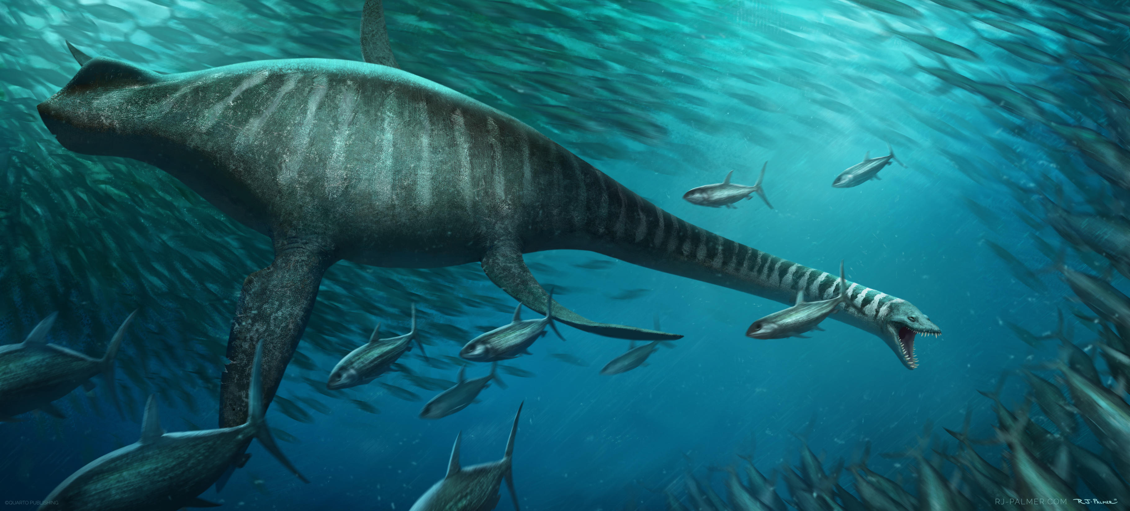 Elasmosaurus by arvalis