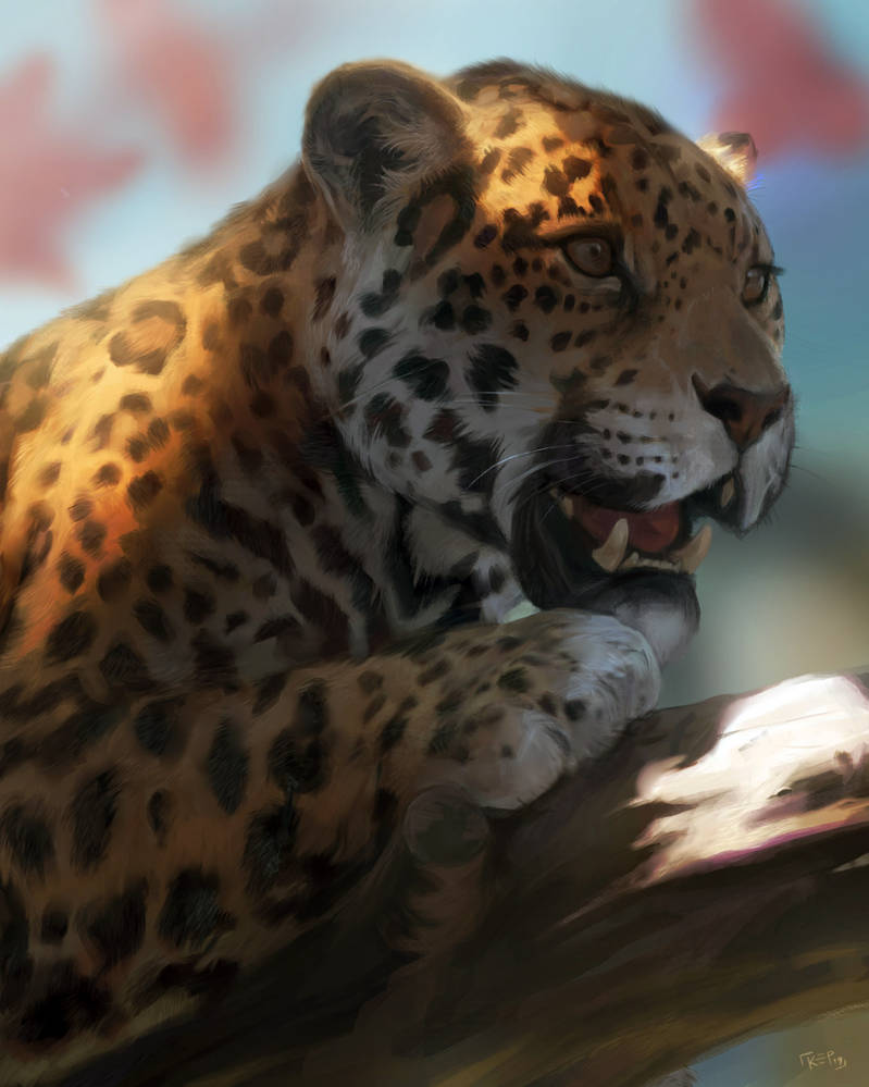 Jaguar Step Breakdown by kepperoni on DeviantArt