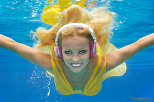 Arrangement Of Flowers by stefangrosjean