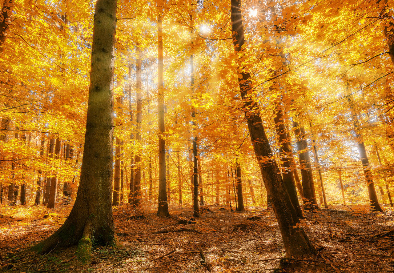Unknown Germany pt. CCXVIII by TheChosenPesssimist