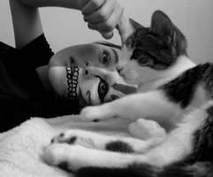 Hey, kitty cat by ierow33n