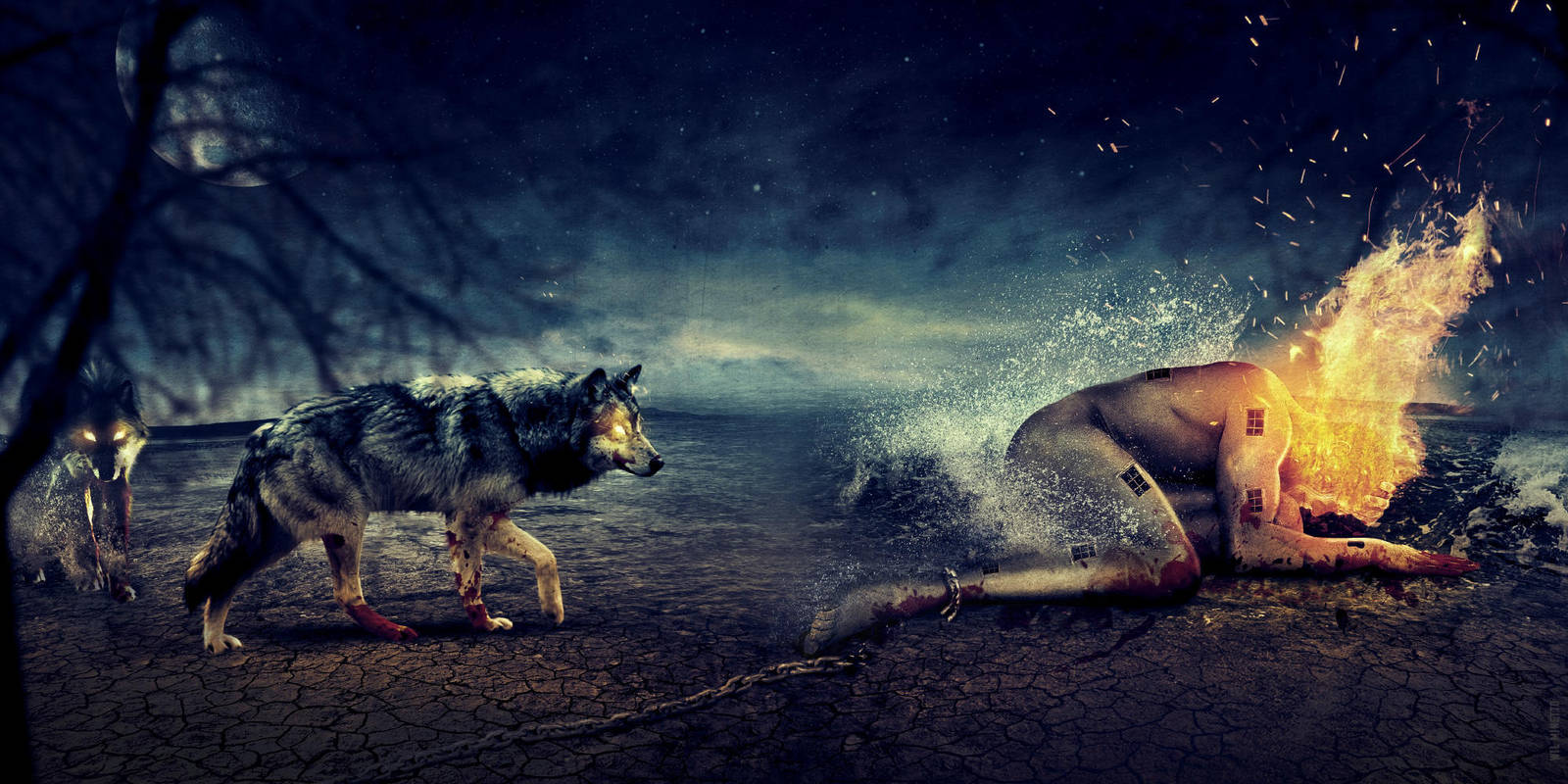 A New Beginning by wilminetto