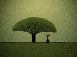 Socotra by vladstudio