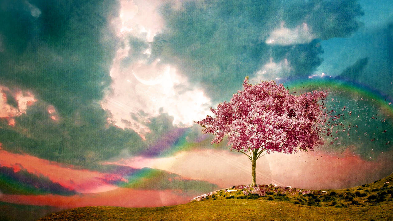 Evening Star - The Pink Fields by PonyEveningStar