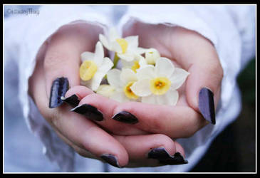 flores . by OrdinaryThing